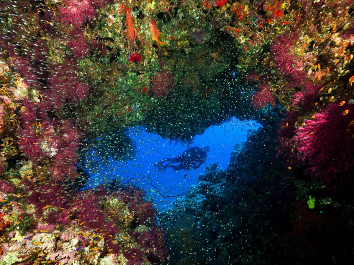 Diver swimming through a coral reef opening
