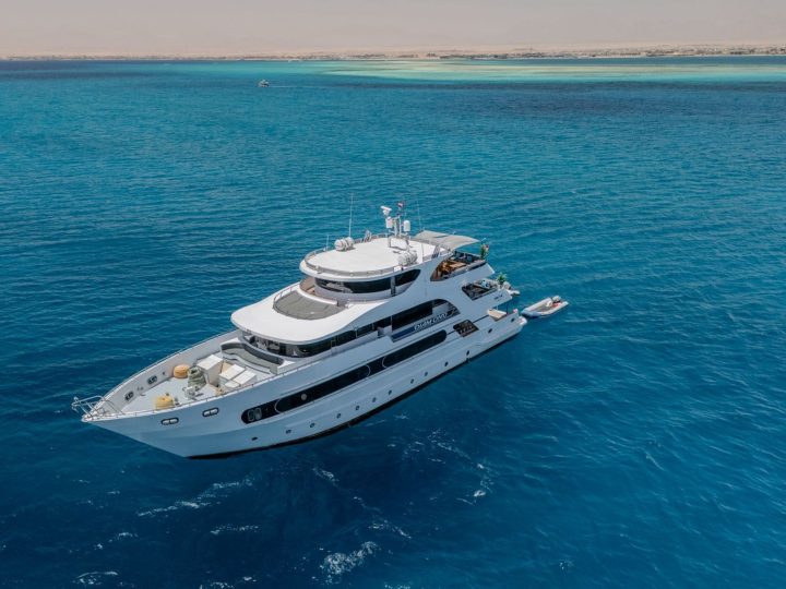 Red Sea Diving Safari — 1 Week